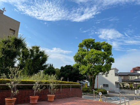 いやしを求めて