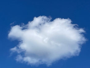 プチ・リバイバル?