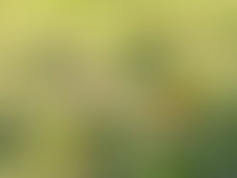 信仰があれば