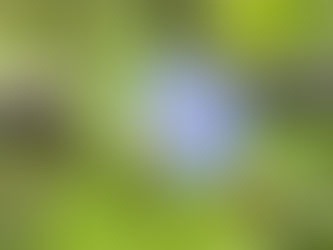 何を求めてるのか?