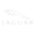 Jaguar Logo