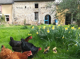 IMG_20180401_103850.jpg_1522573599414.jp