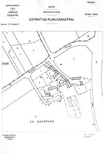 Copie de IMG_0205NB copie.JPG