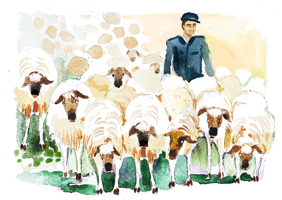 web_scene_sheperd,sheep.gif