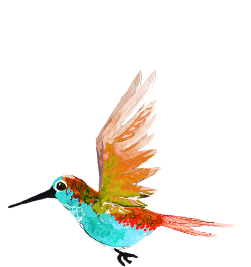 hummingbird(turquoise).gif