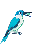 balesin_bird_ani(transparent).gif