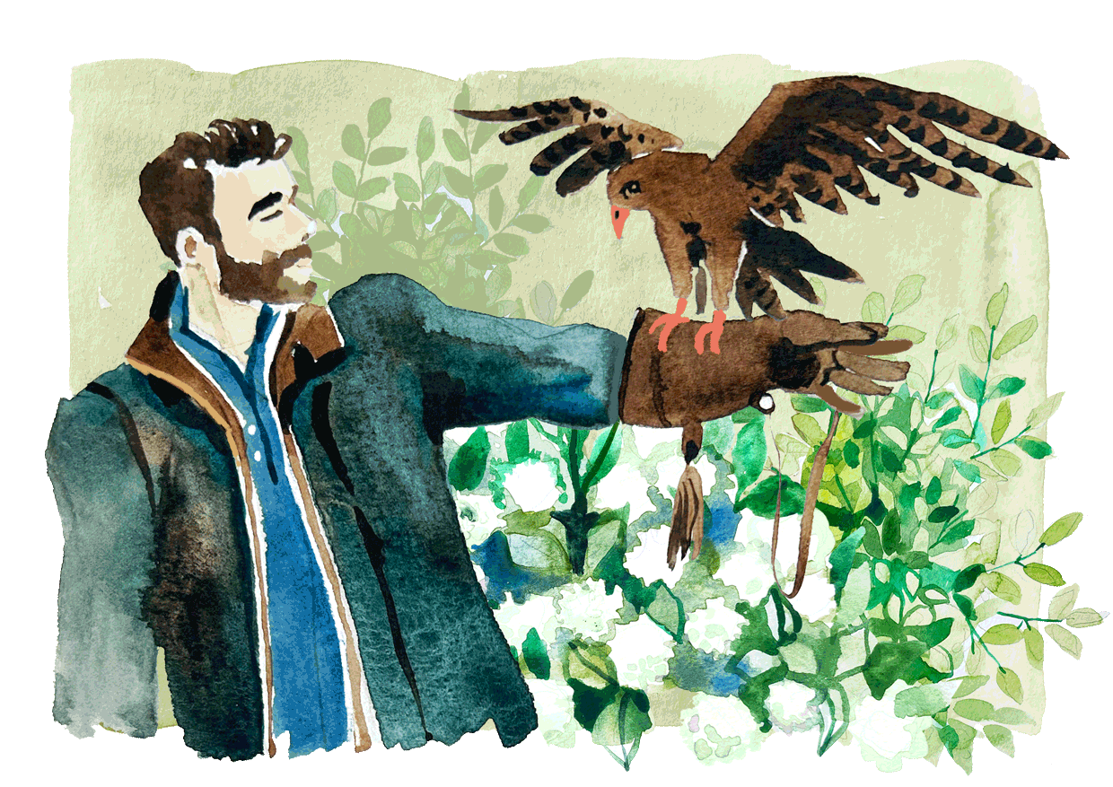 eventscenes_web_falconery(ani).gif