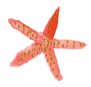 seastar_darker-red.gif
