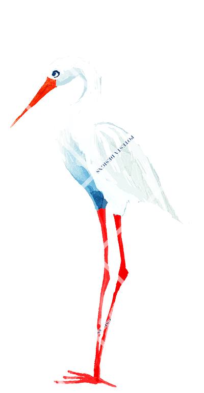 egret,3(watermarked).gif