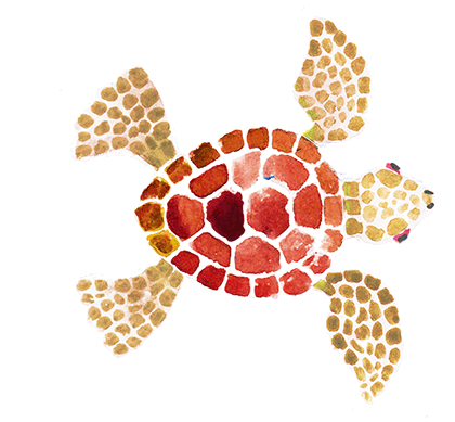 turtle(brown1).gif