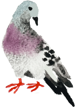 elements_web_pigeon,1(ani).gif