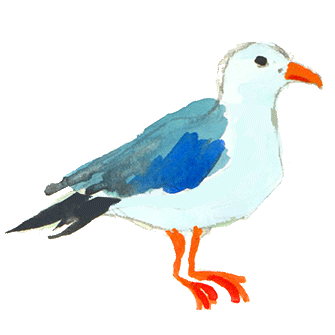 elements_seagull.gif