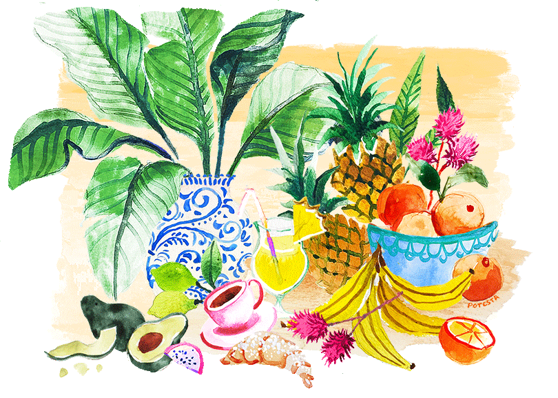eventscene_web_mexico,tropical,palm,brunch(ani).gif