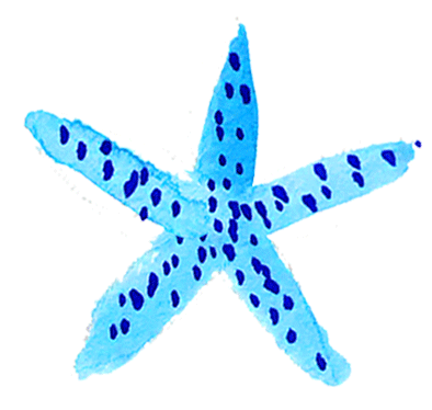 starfish_blue.gif