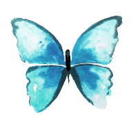 butterfly_animation(turqoise).gif