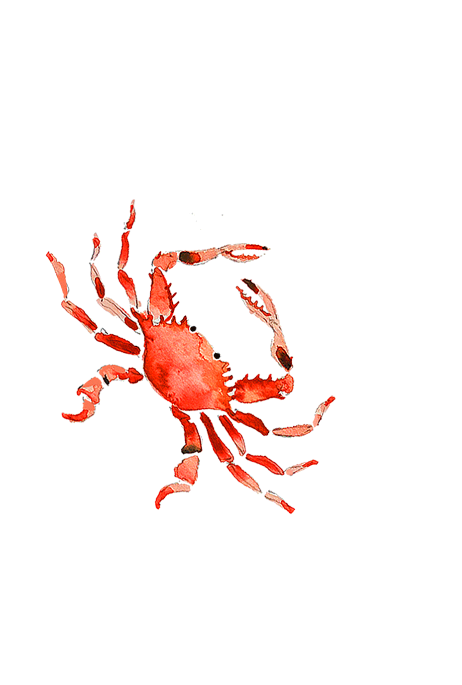 crab.gif