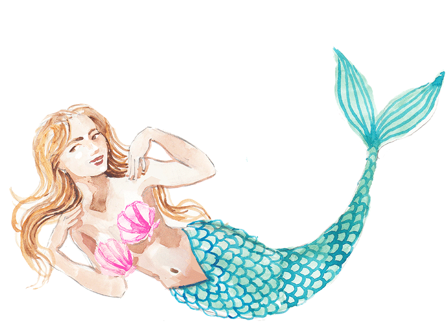 elements_web_mermaid(ani).gif