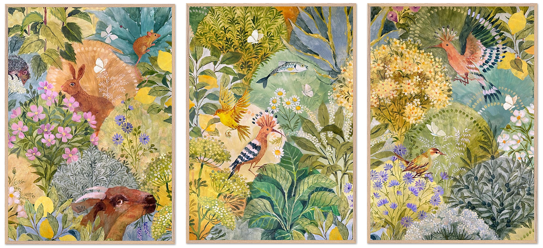 Medicinal Plants Triptyque