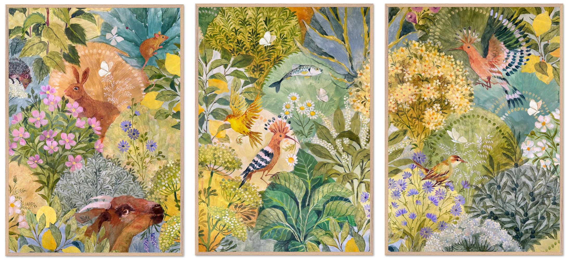 Medicinal Plants Triptyque
