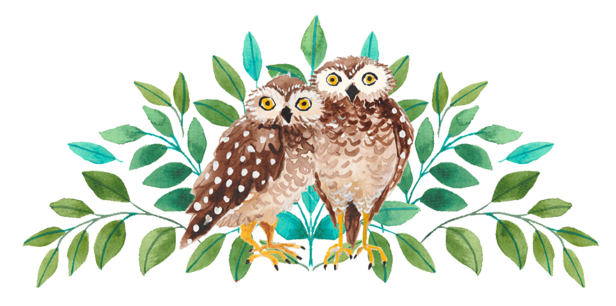 elements_web_mexico,owls,night.gif