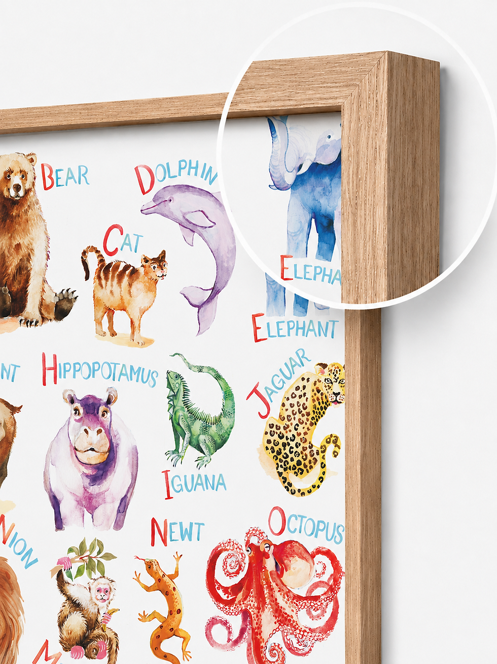 Thumbnail: Animal Alphabet (EN/FR/ES)