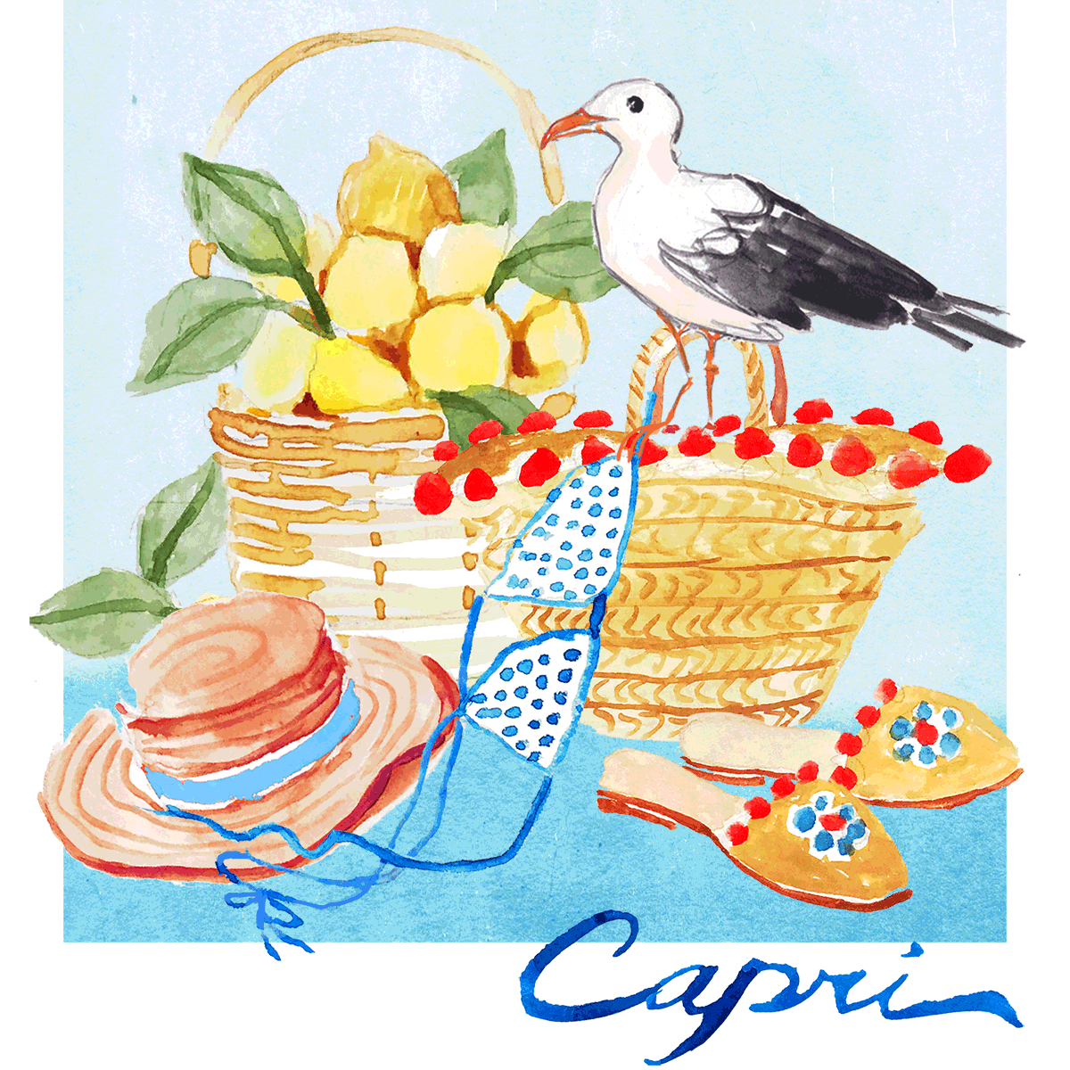 CAPRI