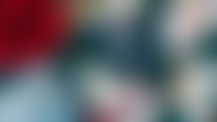 Winter Wonders - Exploring the Season with Curiosity