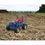 Thumbnail: Tractor in a Tin