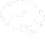 body-organ 1.webp