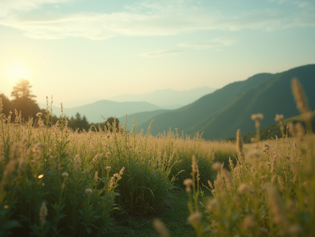 Balancing Masculine and Feminine Energies