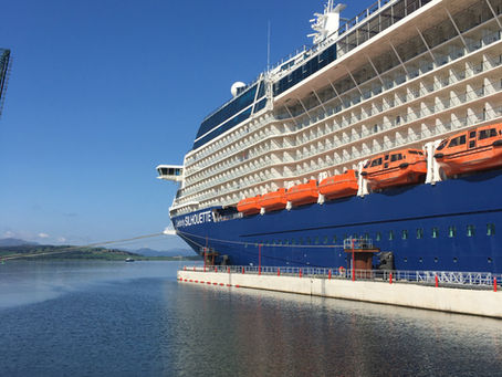 Celebrity Silhouette