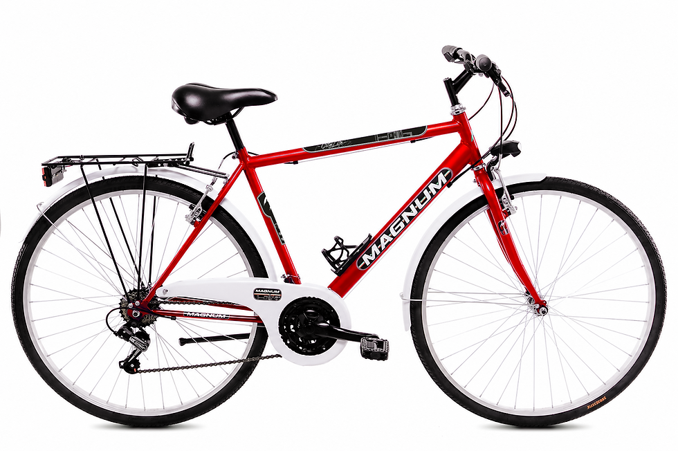 Miniatura: art.332 CITY BIKE 28 UOMO CAMBIO 18vel