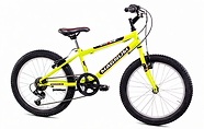 MTB 20 MAX FLUO.png