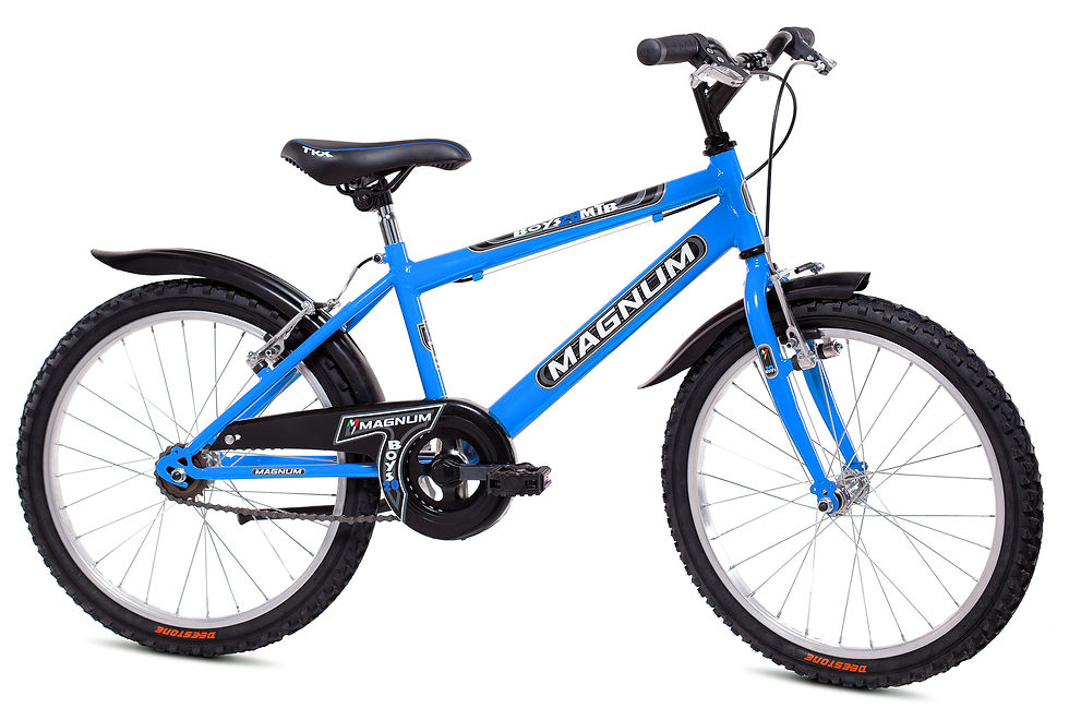 Miniatura: art.107 MTB 20 BOY SENZA CAMBIO