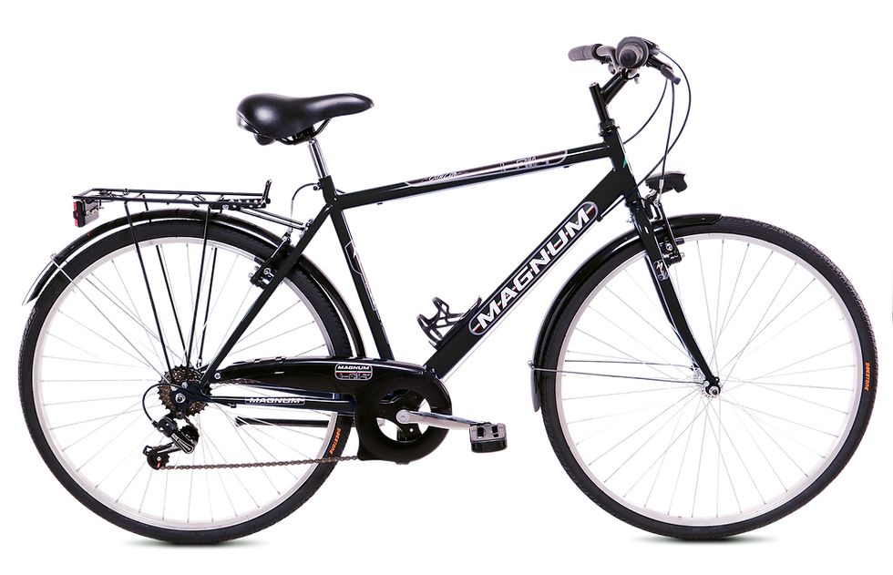 Miniatura: art.331 CITY BIKE 28 UOMO CAMBIO 6vel