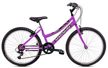 MTB 24 DONNA GLICINE.jpg