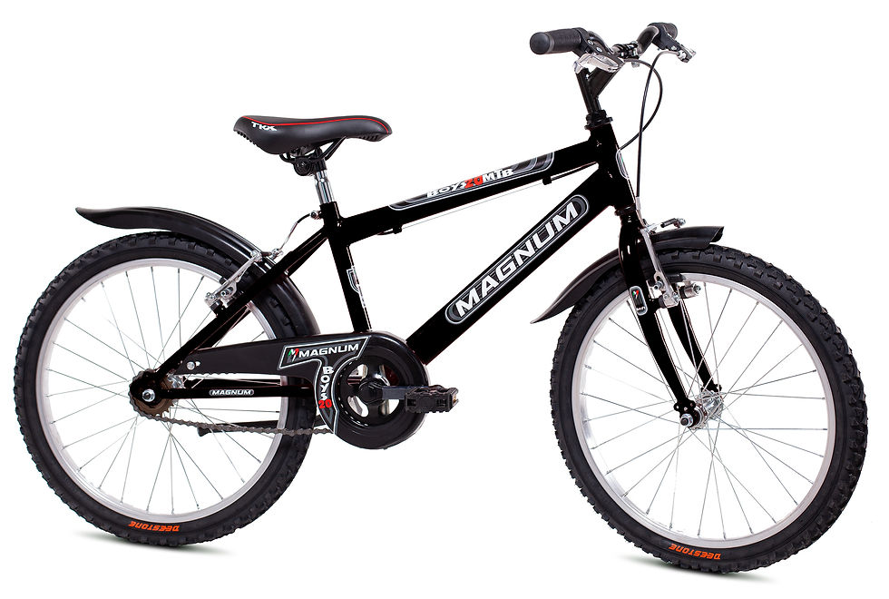 Miniatura: art.107 MTB 20 BOY SENZA CAMBIO