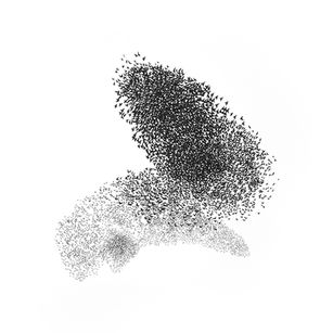 Vuelo de estorninos. Dibujo a pincel. Naturaleza, comportamiento de los animales en grupo. Sistemas complejos.