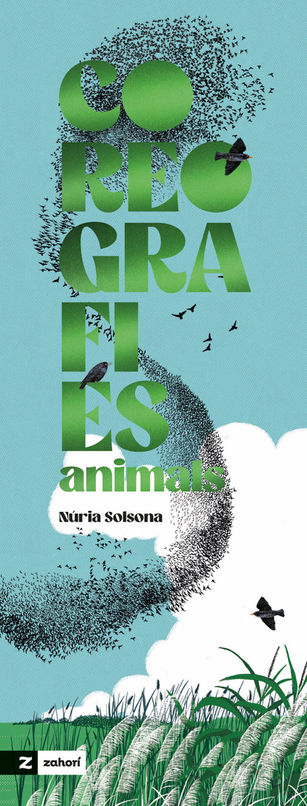 Anilames, naturaleza, coreografias, NúriaSolsona