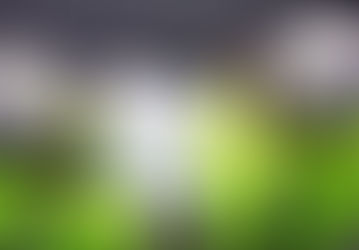 Electrical (ICA) Site Manager - Falkirk - Immediate Start - To £55,000