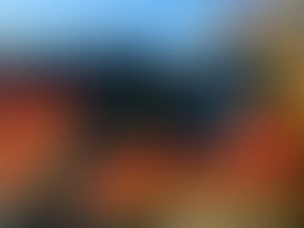 平榎復興紅葉会【2021年11月28日】