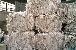 WhatsApp Image 2021-08-26 at 12.32_edited.jpg