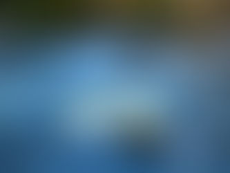 Profit vs. Cash Flow: Why They’re Not the Same Thing