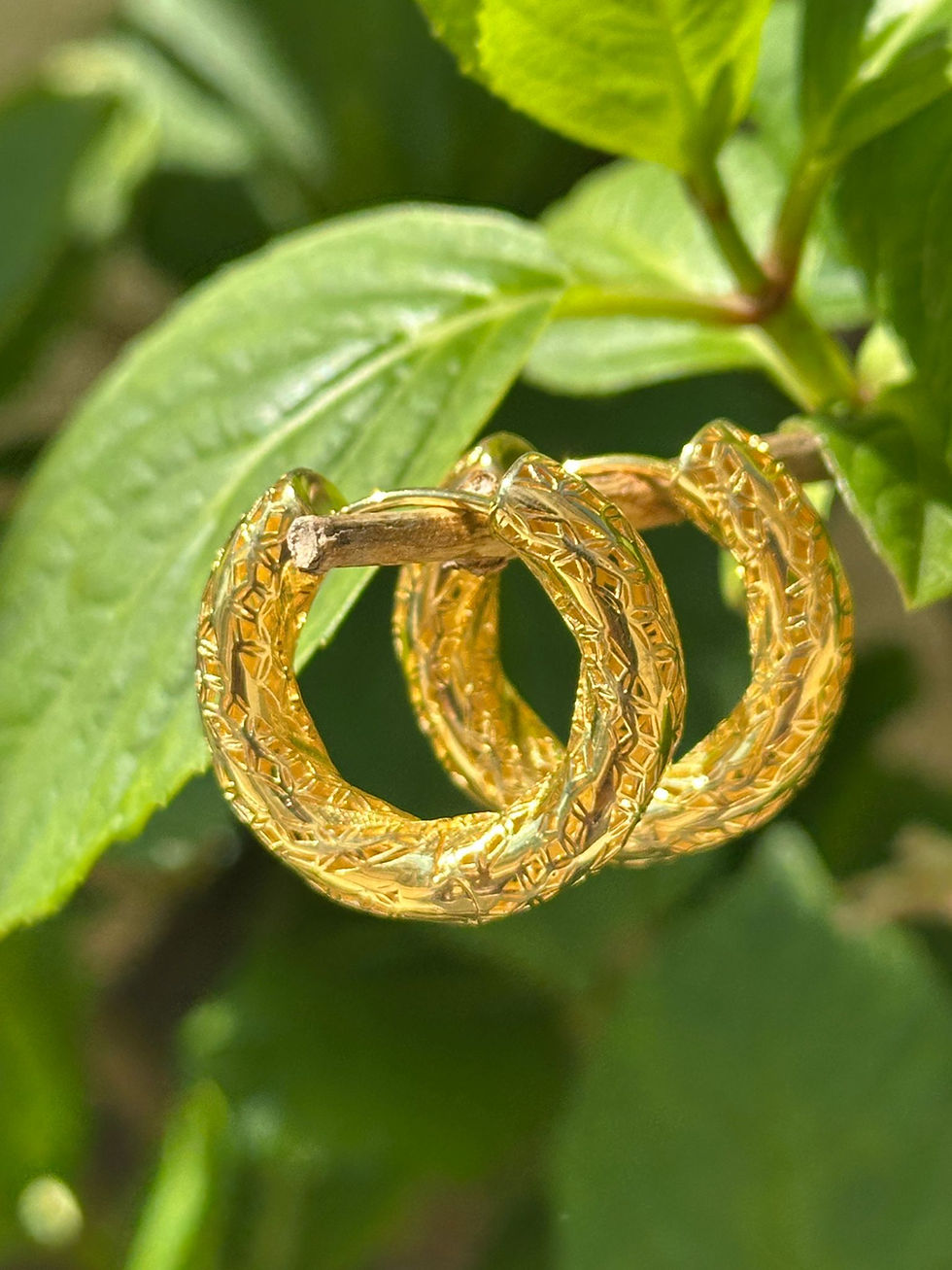 Küçük resim: Aurelia Küpe