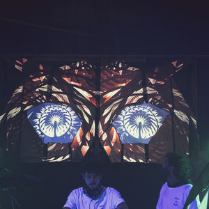 Vue d'ensemble du vidéo mapping 