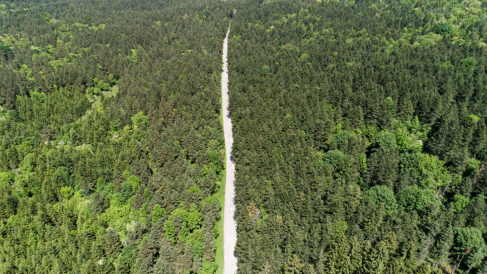DJI_0026.jpg