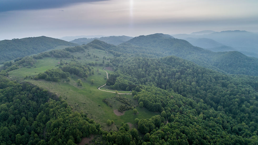 Vrhovi Povlena. Foto: Miroslav Milovanović