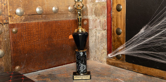 Dan Lane Williams Photographs AMT International Film Festival Nov 2, 2025 AWARDS