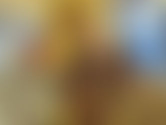 Thank you for giving Indiana the best birthday present: Democracy!