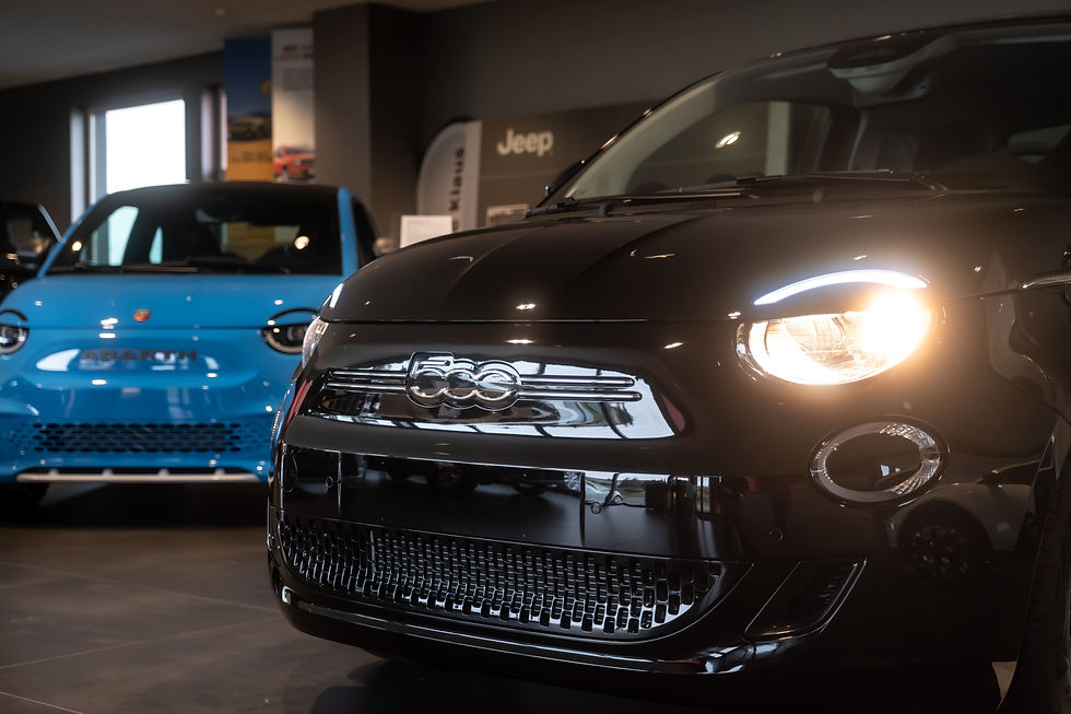 garage_klaus_fiat.jpg